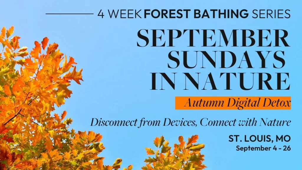 Graphic for September Sundays in Nature, a 4-week Forest Bathing and autumn digital detox series in St. Louis, Missouri, with orange fall leaves against a blue sky.