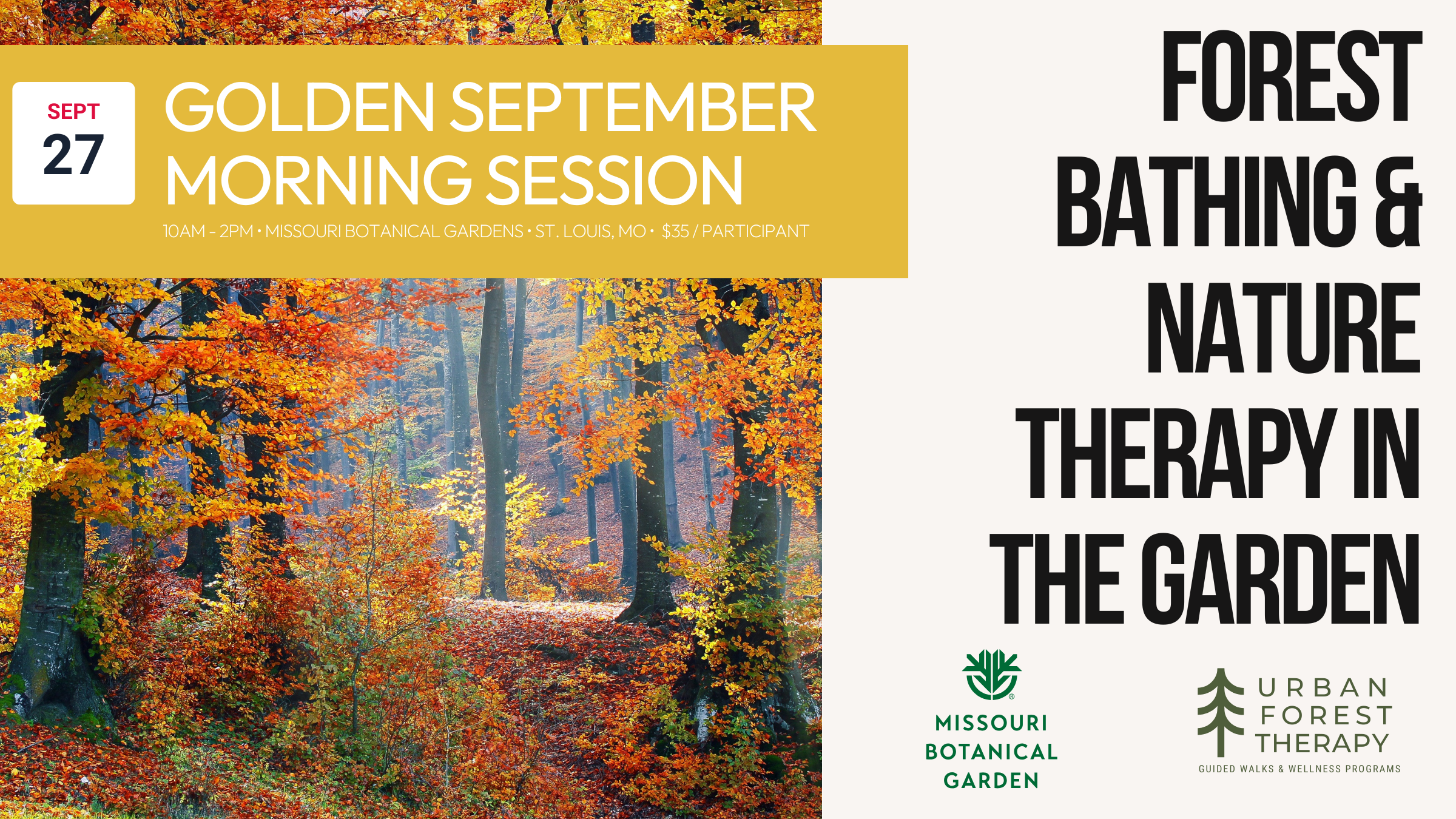 Golden September morning forest bathing walk at Missouri Botanical Garden, offering a mindful, restorative nature experience surrounded by seasonal light and color.