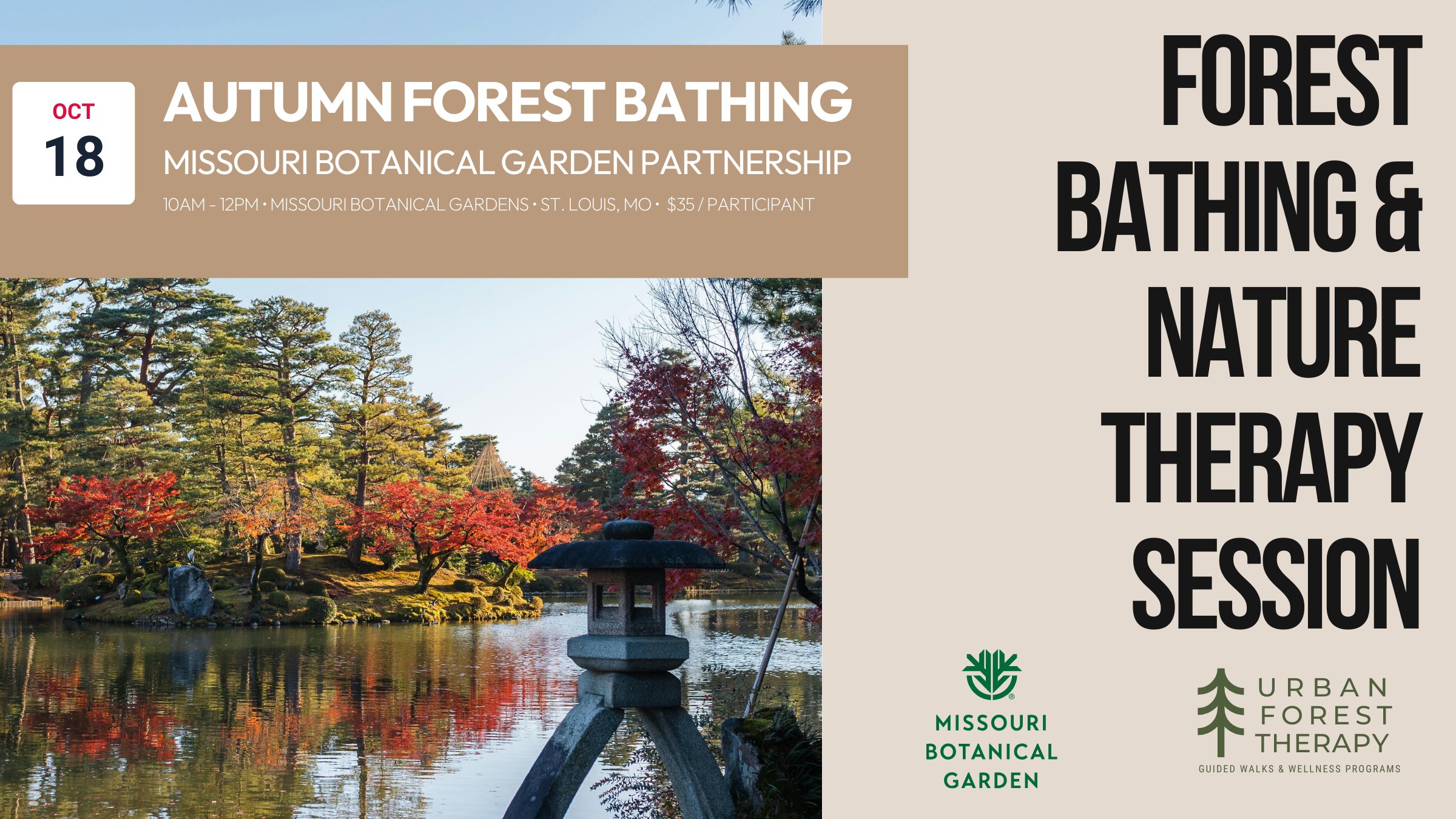 Autumn in Full Color forest bathing walk at Missouri Botanical Garden, guided nature therapy during peak fall foliage and crisp October air.